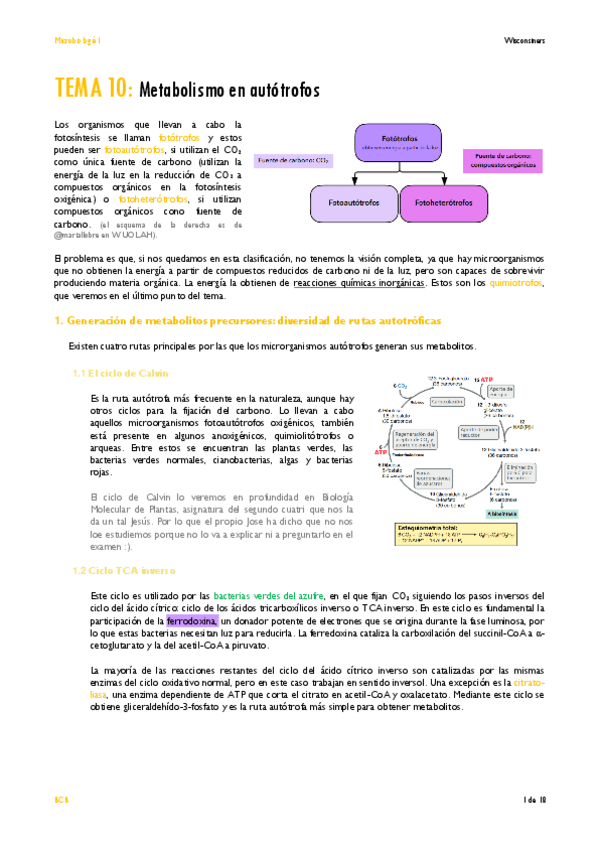 Miniatura del documento TEMA-10.pdf