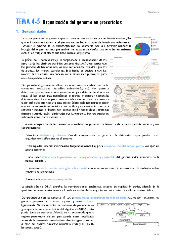 Miniatura del documento TEMA-4y5.pdf