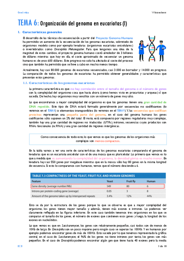 Miniatura del documento TEMA-6.pdf