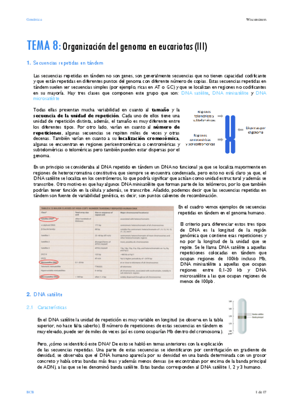 Miniatura del documento TEMA-8.pdf
