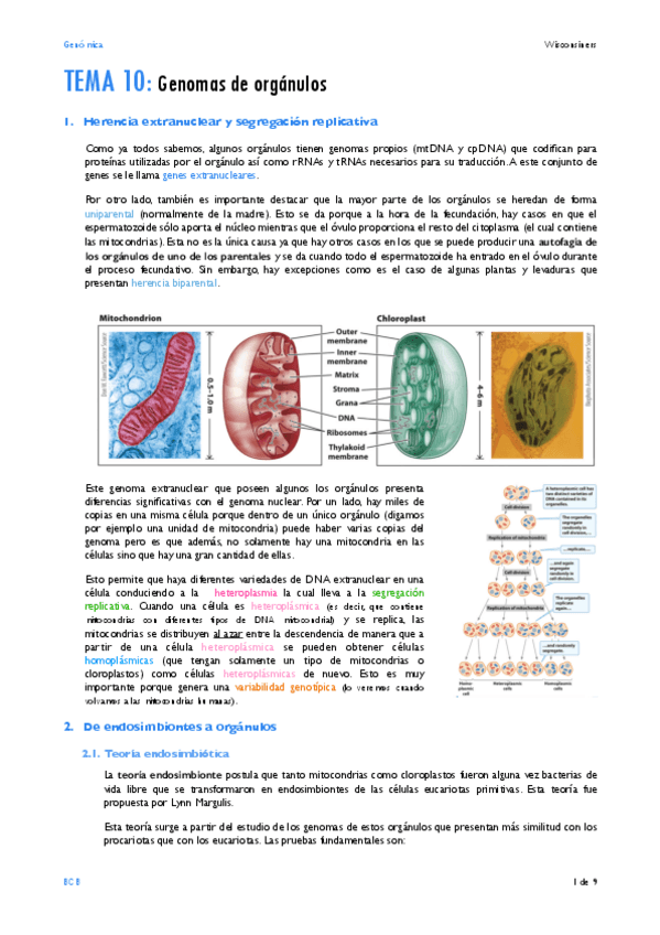 Miniatura del documento TEMA-10.pdf