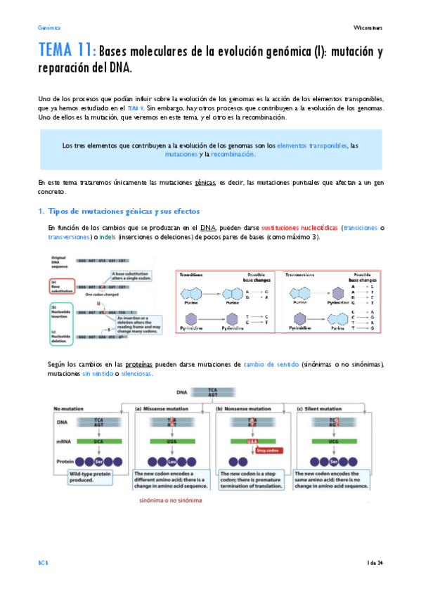 Miniatura del documento TEMA-11.pdf