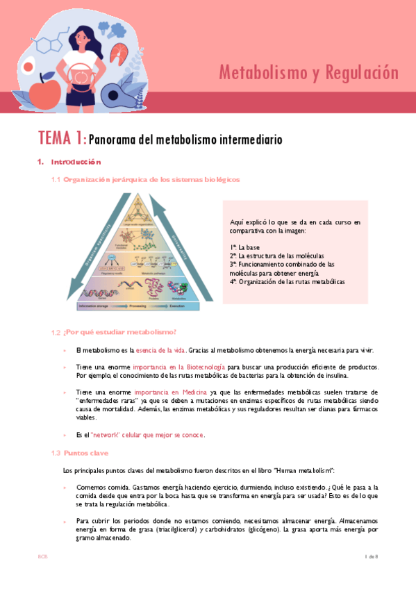 Miniatura del documento TEMA-1.pdf