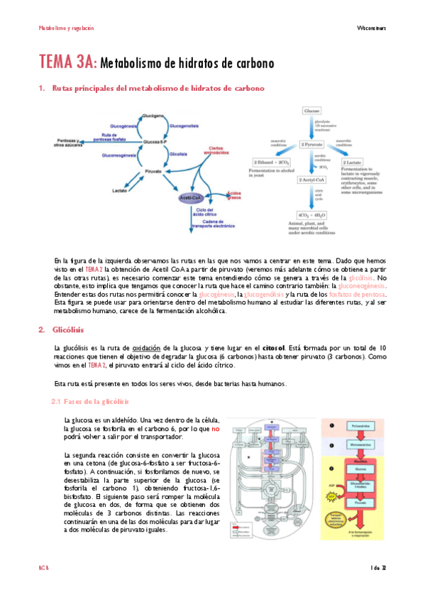 Miniatura del documento TEMA-3.pdf