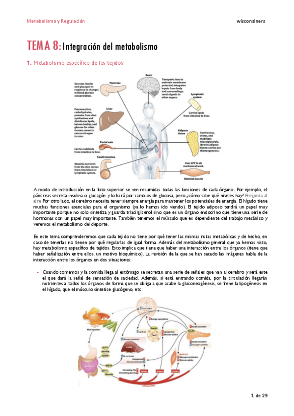 Miniatura del documento TEMA-8.pdf