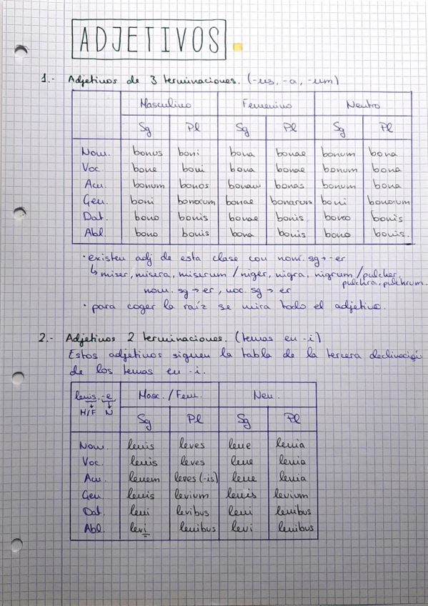 Miniatura del documento Adjetivos-en-latin.pdf