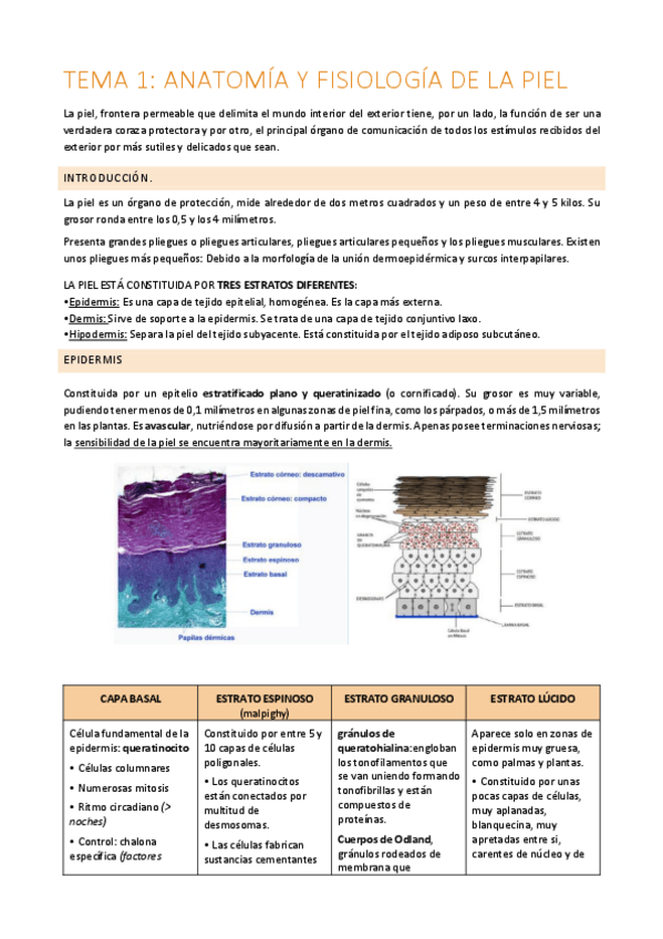 Miniatura del documento TEMA-1-DERMA.pdf