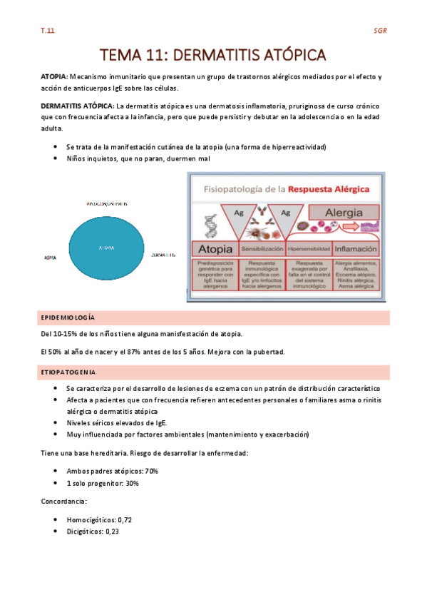 Miniatura del documento TEMA-11-DA-Y-DS.pdf
