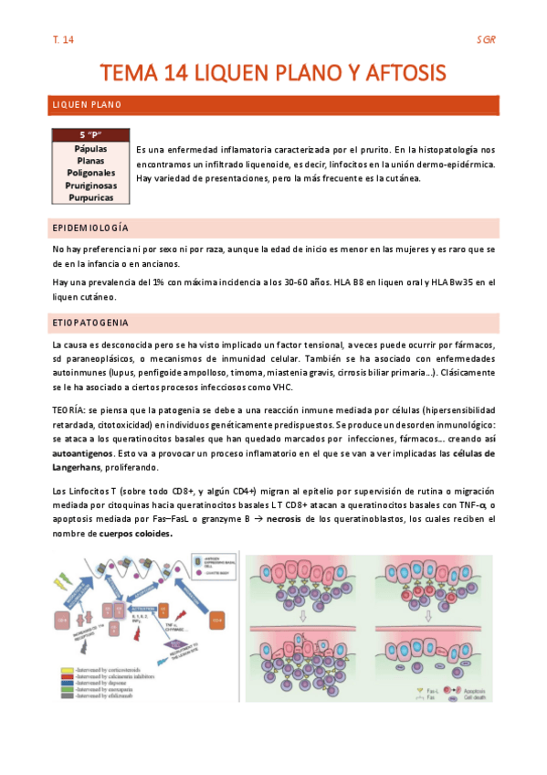 Miniatura del documento TEMA-14-LIQUEN-PLANO-Y-AFTOSIS.pdf