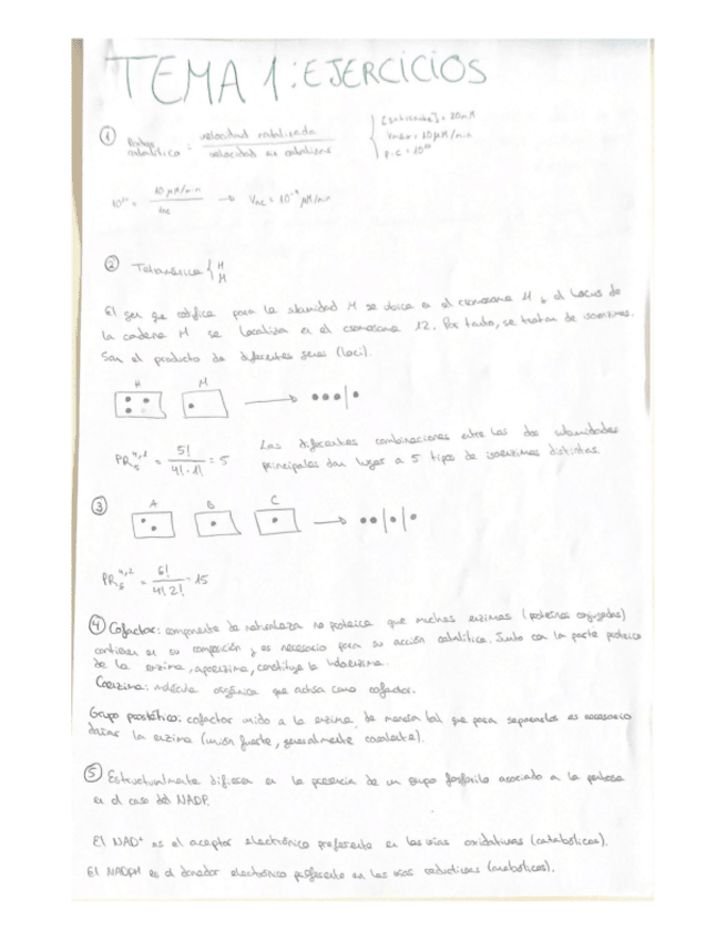 Miniatura del documento ENZIMO-RELACIONES-RESUELTAS.pdf