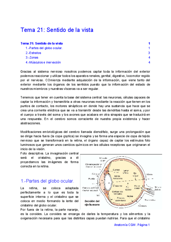 Miniatura del documento TEMA 21 - Sentido de la vista.pdf
