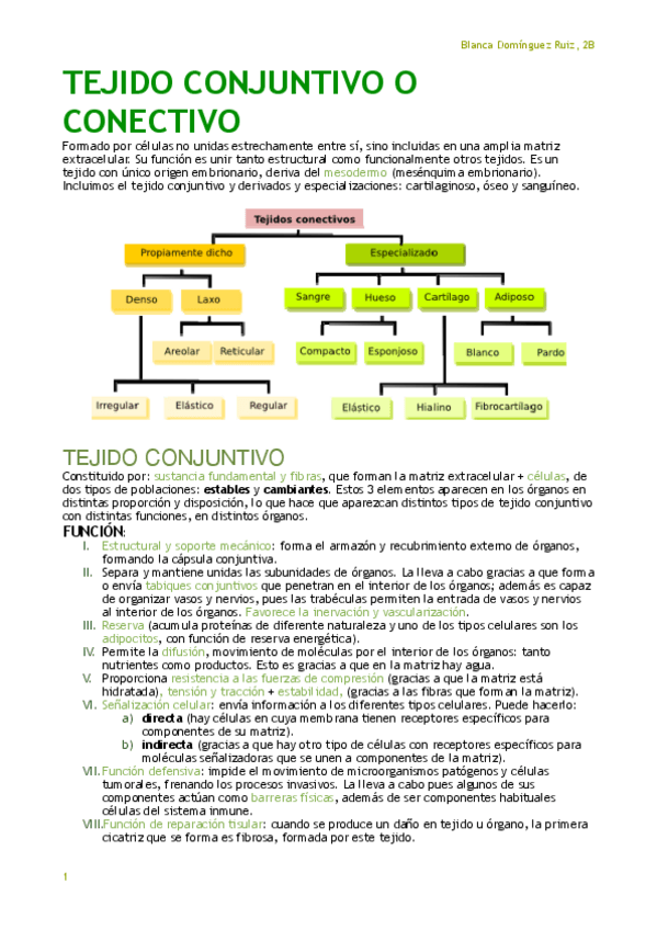 Miniatura del documento CONJUNTIVO.pdf
