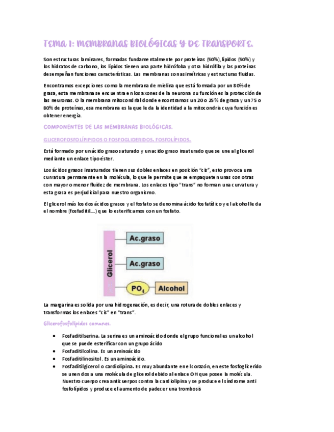 Miniatura del documento TEMA-1.-MEMBRANAS-BIOLOGICAS-Y-DE-TRANSPORTE.PDF