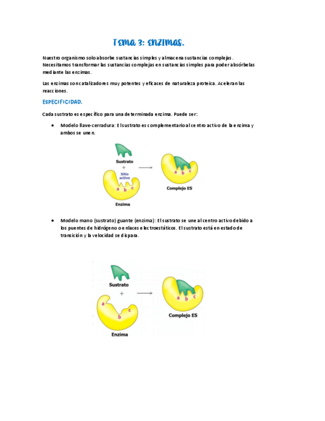 Miniatura del documento TEMA-3.-ENZIMAS.PDF