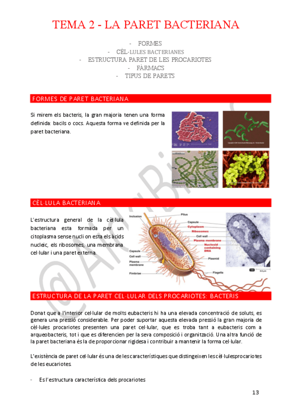 Miniatura del documento Tema-2.pdf