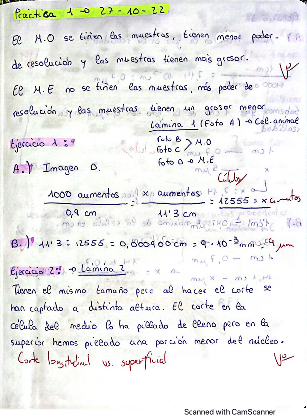Miniatura del documento CUADERNO-BCH.pdf