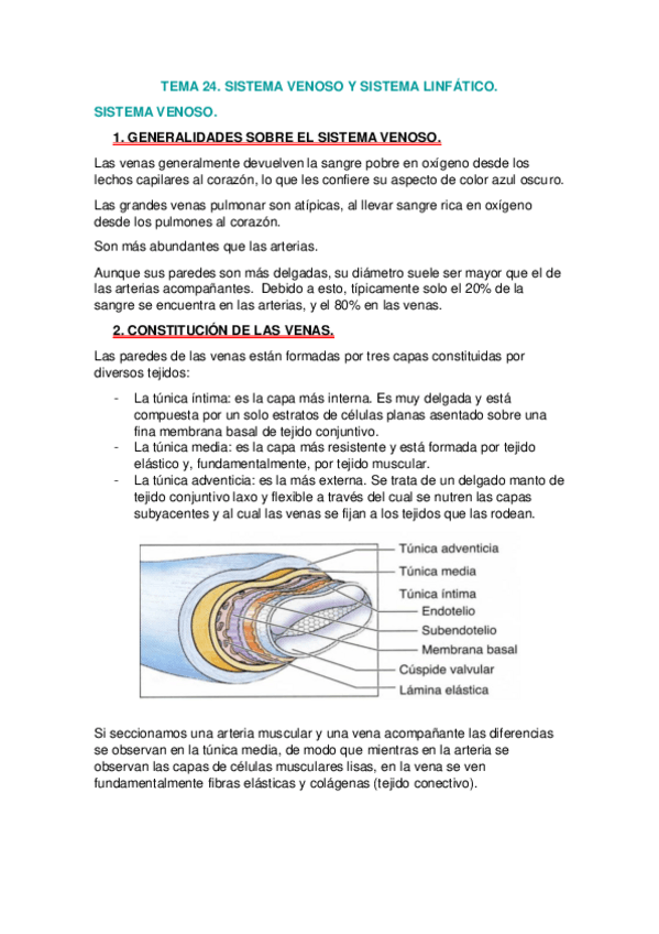 Miniatura del documento TEMAS 24-35.pdf