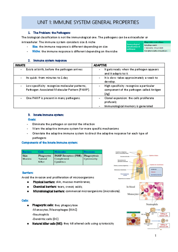 Miniatura del documento unit-1.pdf