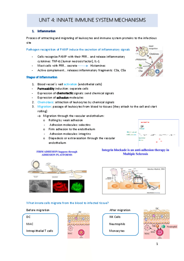 Miniatura del documento unit-4.pdf