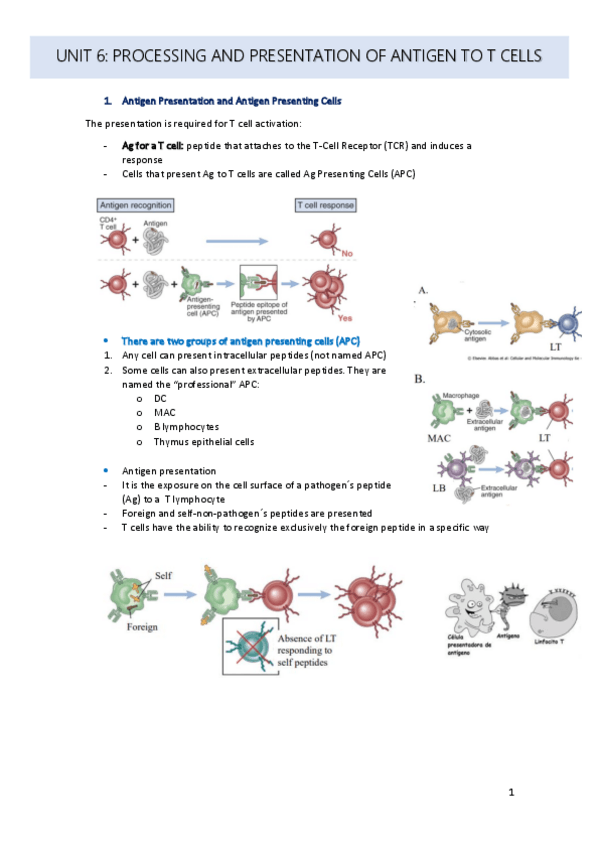 Miniatura del documento unit-6.pdf