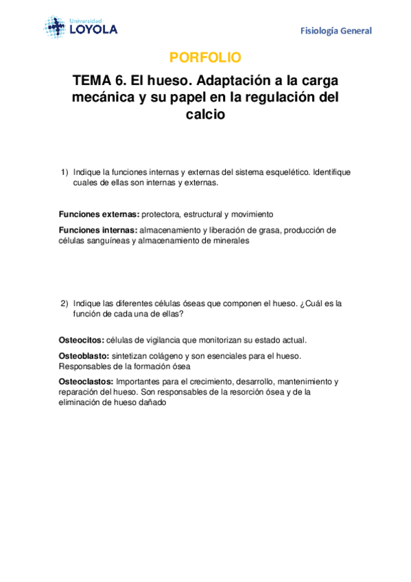 Miniatura del documento PORFOLIO-el-hueso.pdf