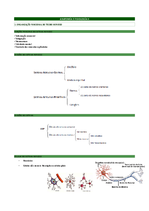 Miniatura del documento Fisiologia.pdf
