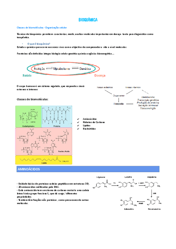 Miniatura del documento BIOQUIMICA.pdf