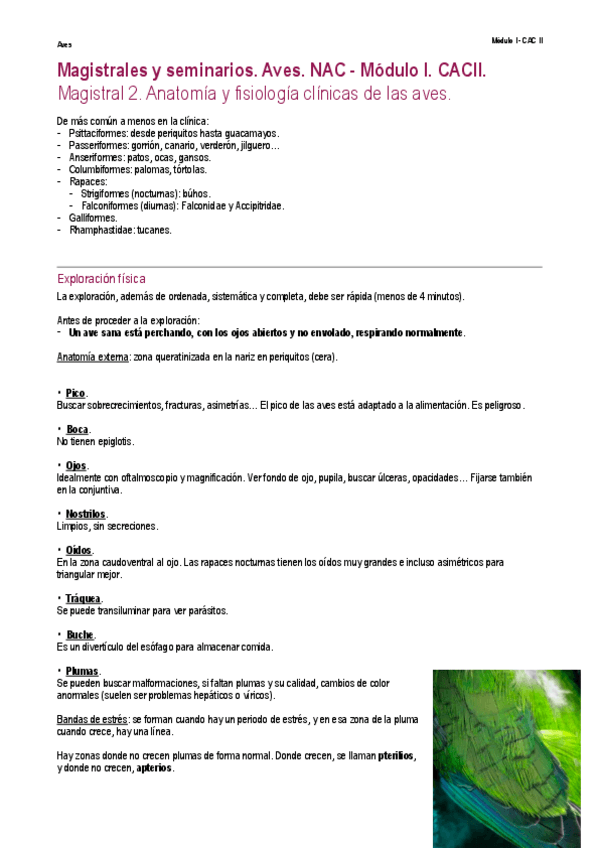 Miniatura del documento NAC.-Aves.-CACII-Modulo-I.pdf