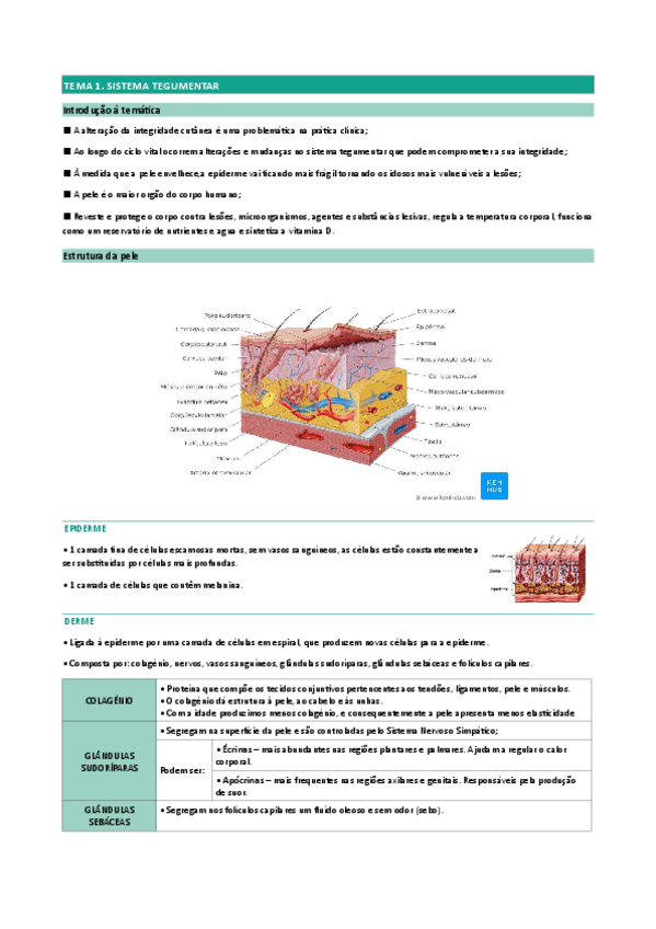 Miniatura del documento Medicocirugica.pdf
