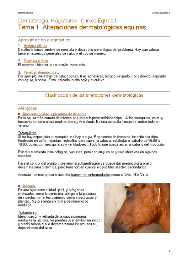 Miniatura del documento Dermatologia.-Magistrales-Clinica-Equina-II.pdf