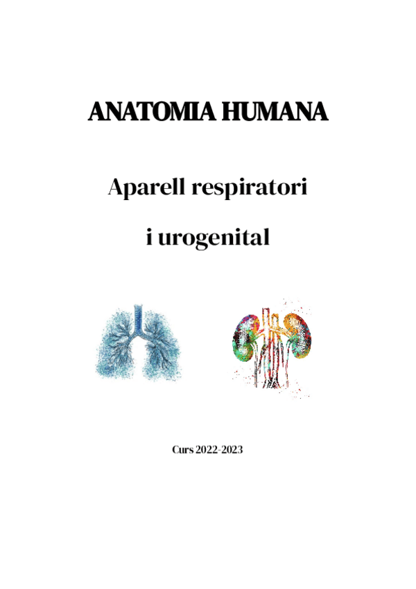 Miniatura del documento Primer-parcial-esplacnologia.pdf