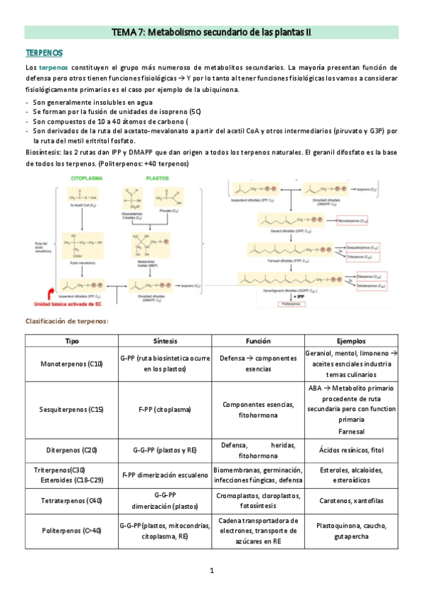 Miniatura del documento Tema-7.pdf