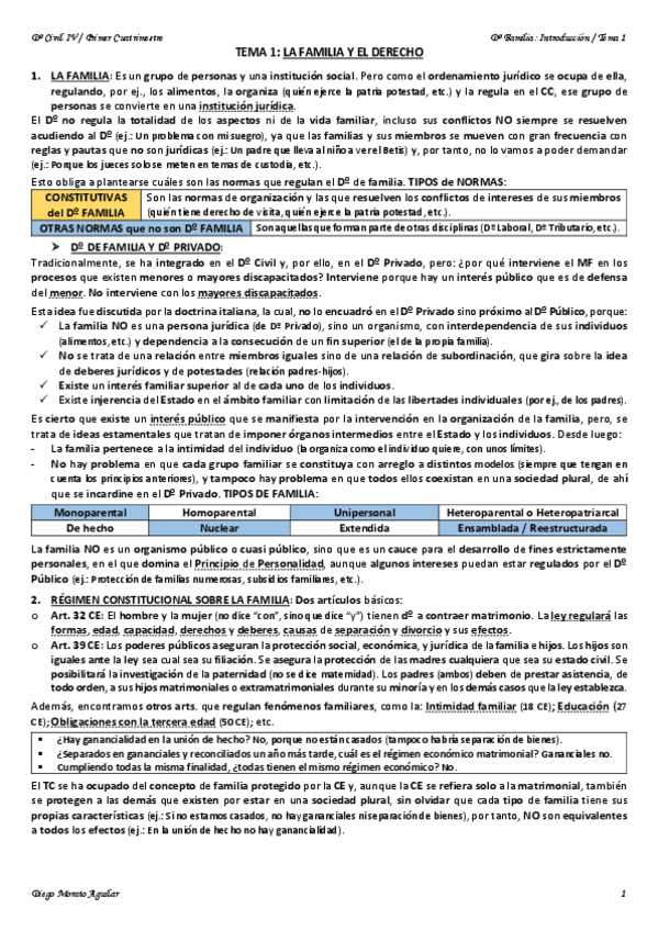 Miniatura del documento TEMA 1 CIVIL IV.pdf