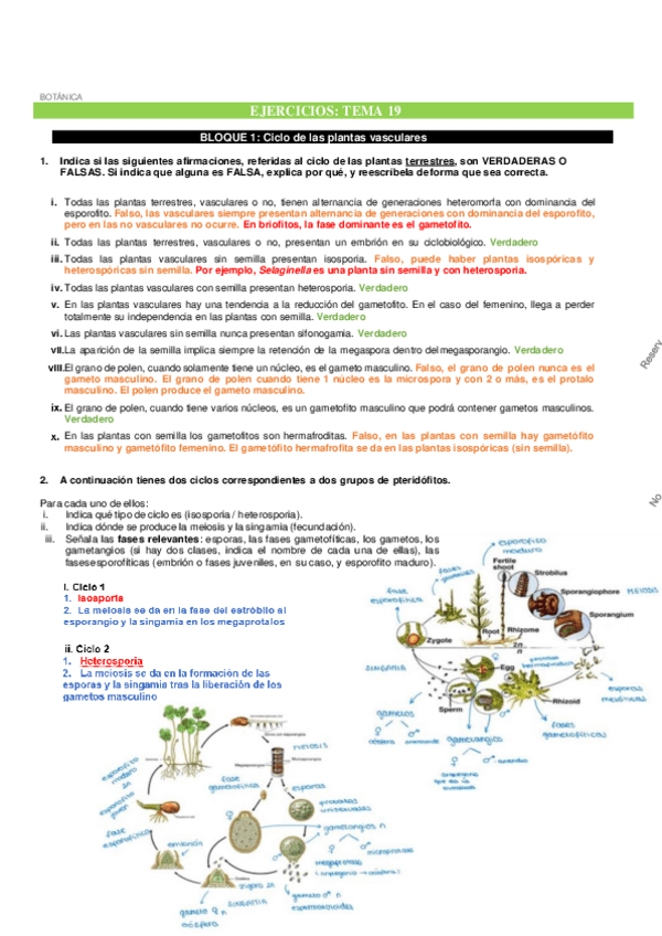 Miniatura del documento Ejercicios-botanica-Profe-Examen.pdf