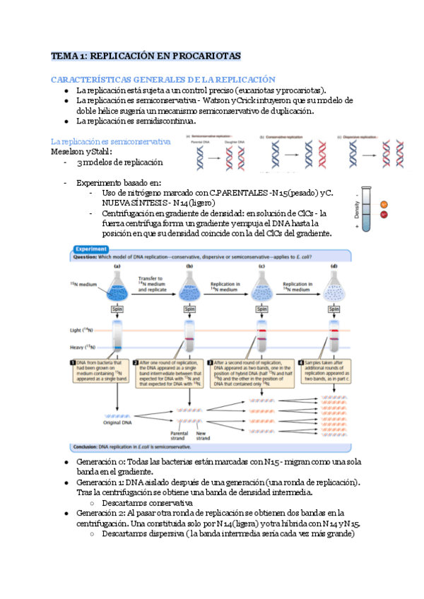 Miniatura del documento TODO-GENETICA.pdf