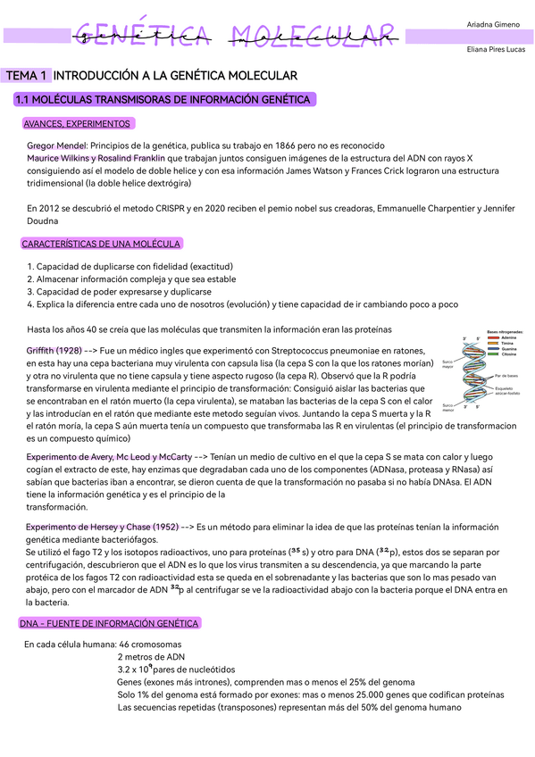Miniatura del documento Genetica-Molecular.pdf