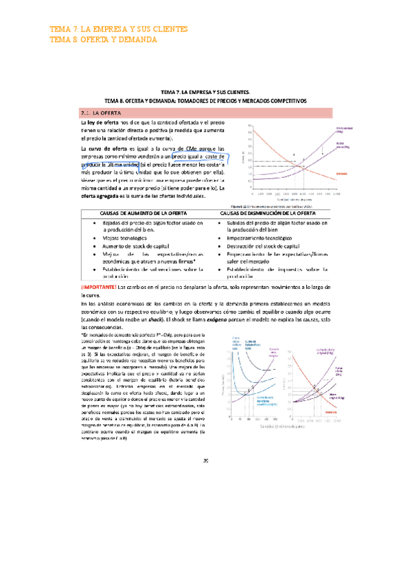 Miniatura del documento TEMA-7-LA-EMPRESA-Y-SUS-CLIENTES-2.pdf