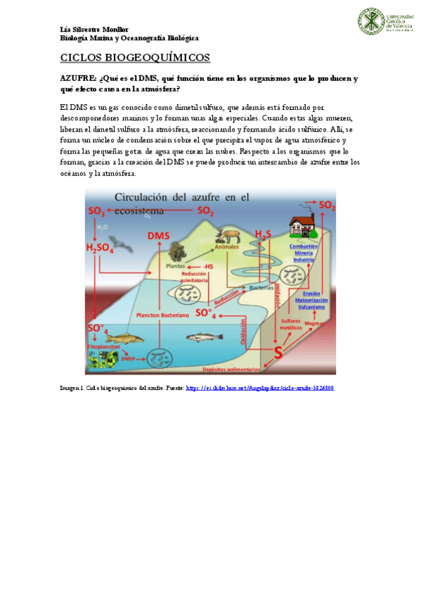 Miniatura del documento T1-Ciclo-biogeoquimicos.pdf