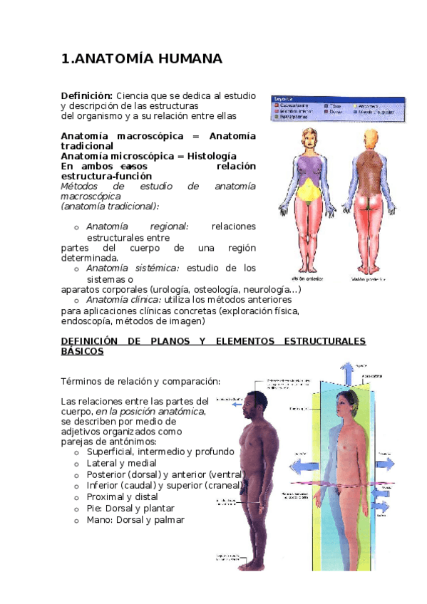 Miniatura del documento Resumen-temas-1-7.doc