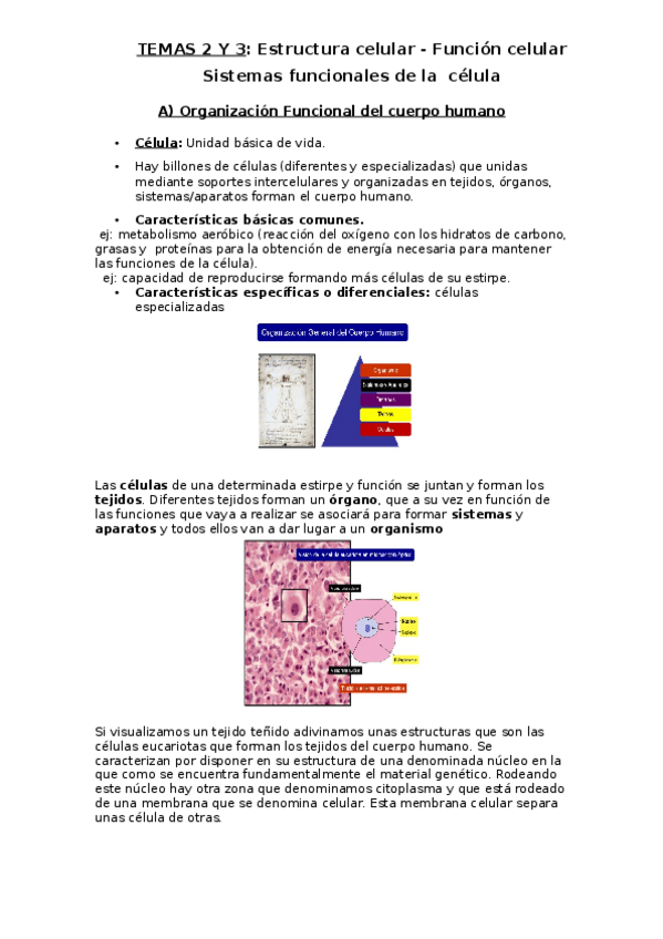 Miniatura del documento TEMA-2-Y-3.docx