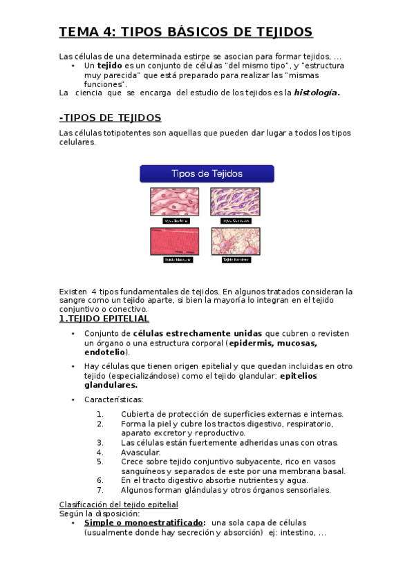 Miniatura del documento TEMA-4.docx
