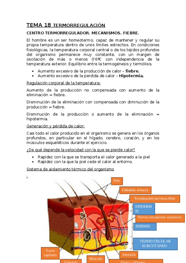Miniatura del documento TEMA-18-TERMORREGULACION.docx