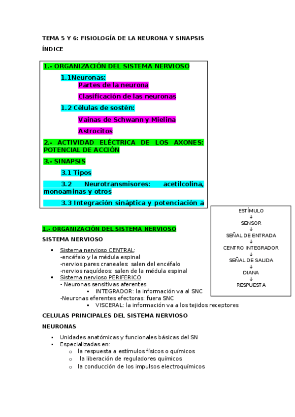 Miniatura del documento TEMA5-Y-6.docx