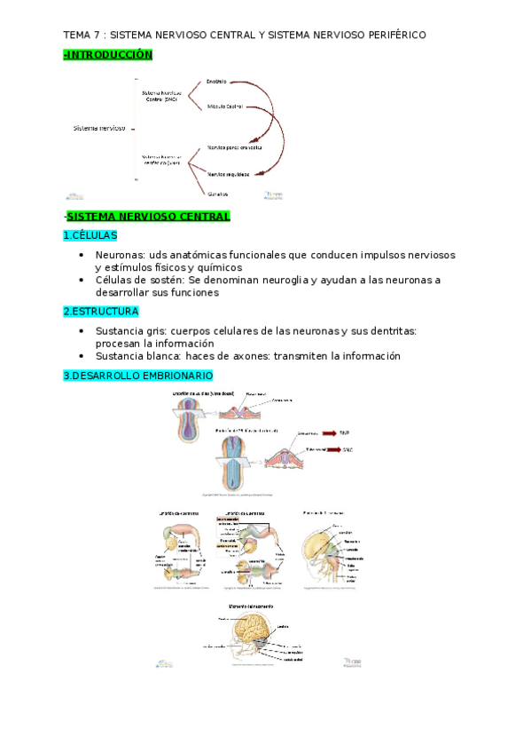 Miniatura del documento TEMA7.docx