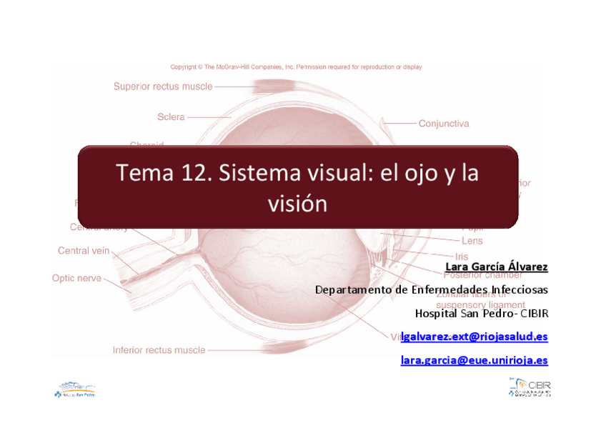 Miniatura del documento TEMA12.pdf