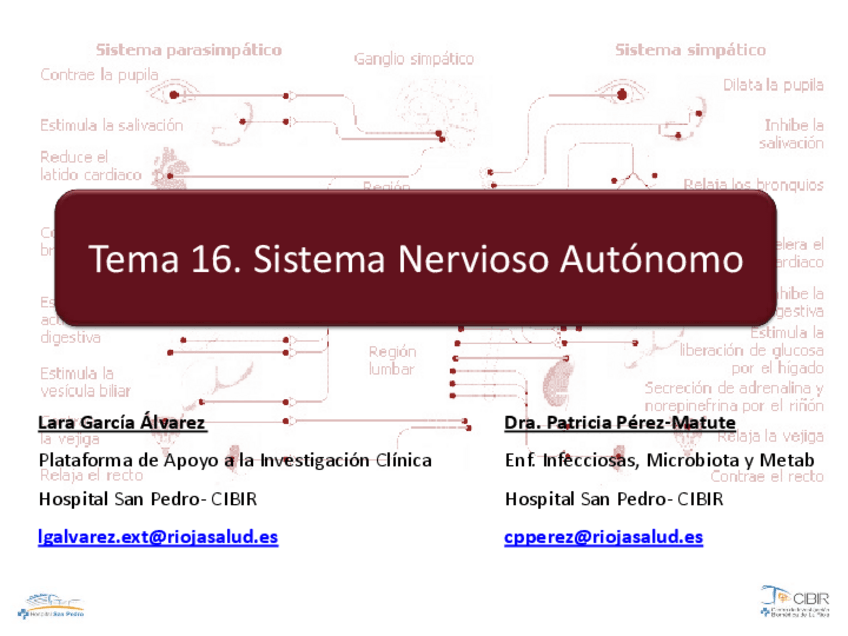 Miniatura del documento TEMA16.pdf