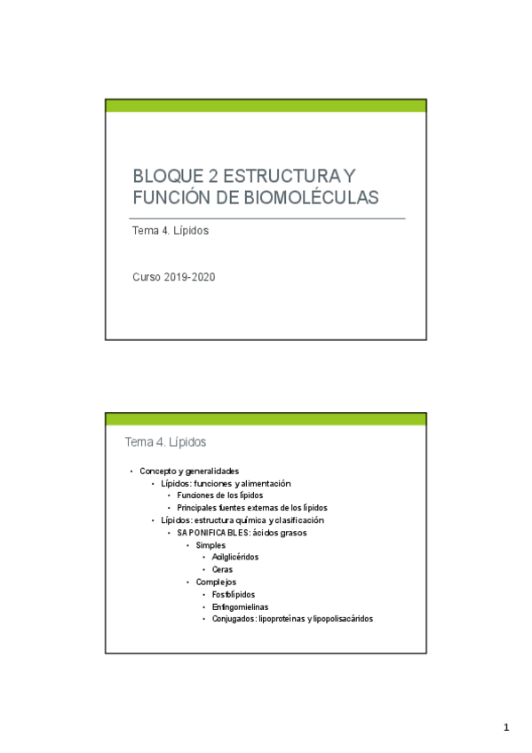Miniatura del documento Tema-4-Lipidos.pdf