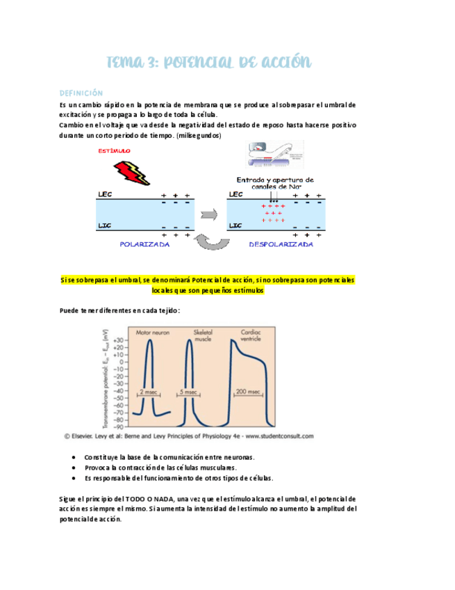 Miniatura del documento TEMA-3.-POTENCIAL-DE-AXCION-I.PDF