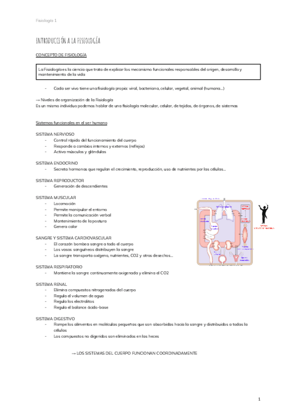 Miniatura del documento 1.INTRODUCCION-A-LA-FISIOLOGIA.pdf