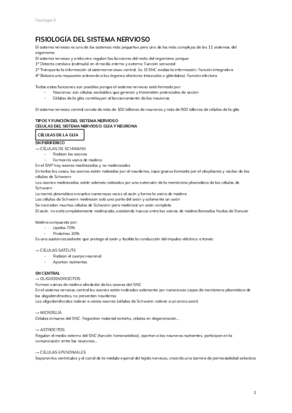 Miniatura del documento 9.-FISIOLOGIA-DEL-SISTEMA-NERVIOSO.pdf
